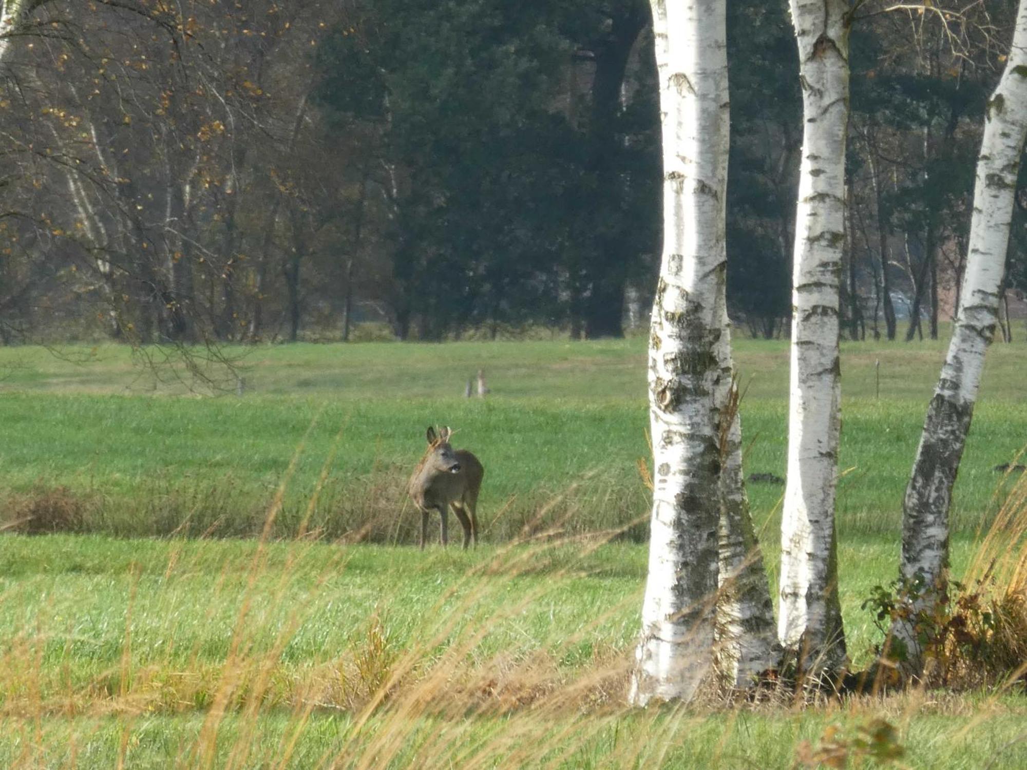 Herzfeldhof Worpswede Eksteriør bilde